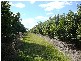 North Isis QLD 4660