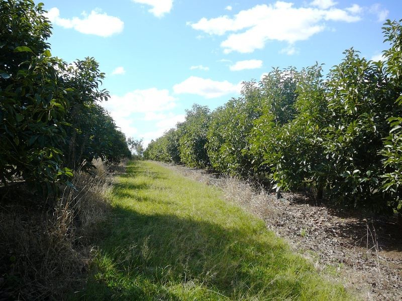 North Isis QLD 4660