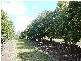 North Isis QLD 4660