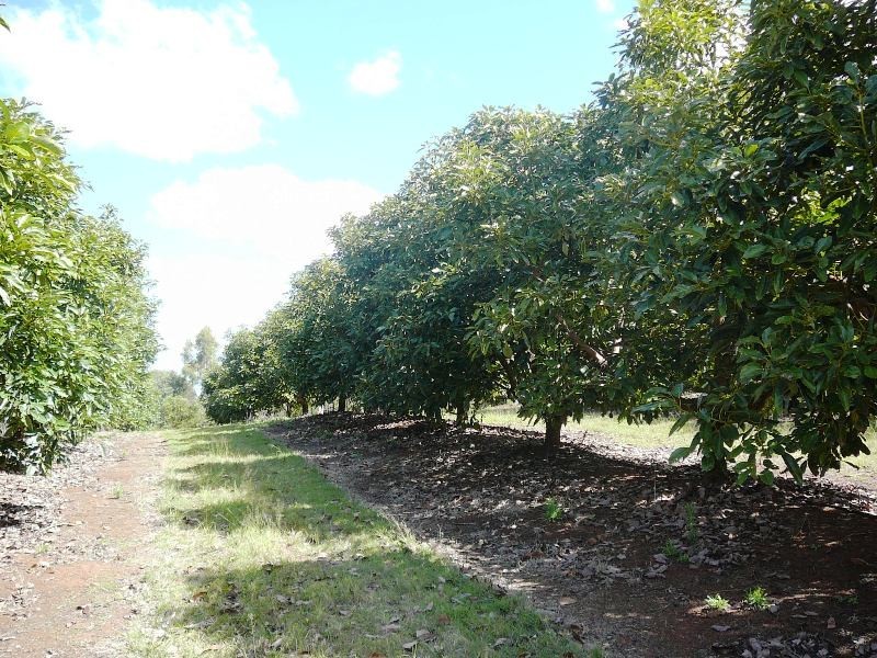 North Isis QLD 4660