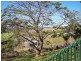 Childers QLD 4660