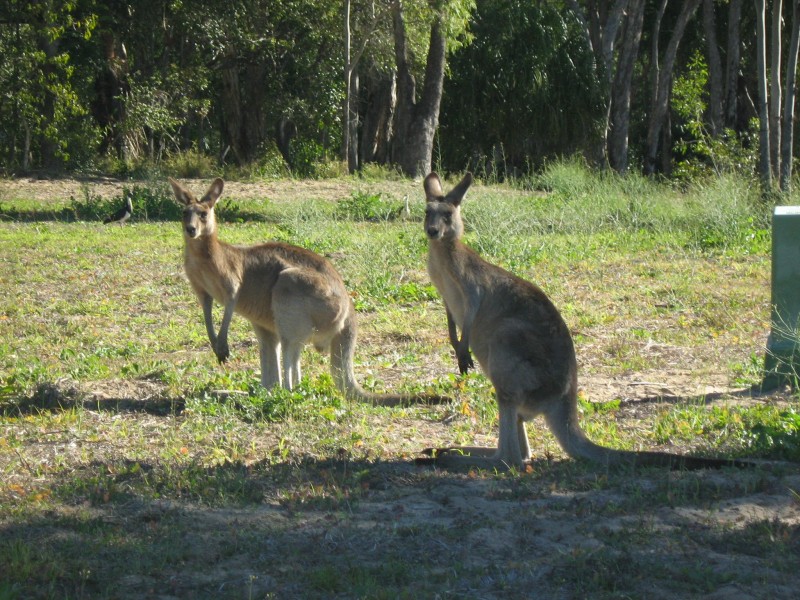 Moore Park Beach QLD 4670