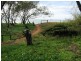 Innes Park QLD 4670