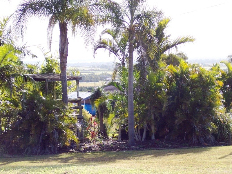 The Hummock QLD 4670