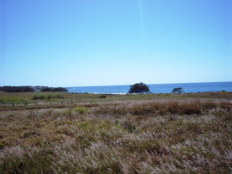 Elliott Heads QLD 4670