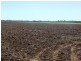 Farnsfield QLD 4660