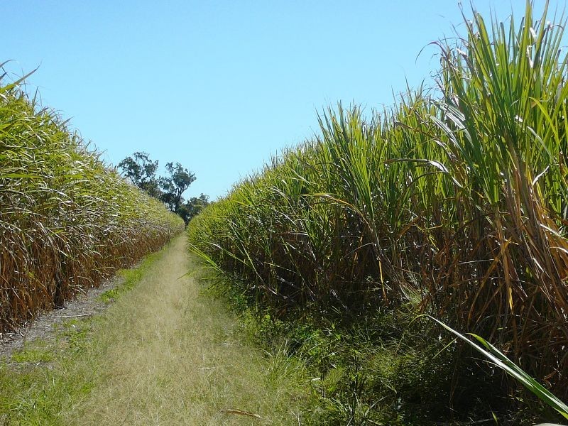 Farnsfield QLD 4660