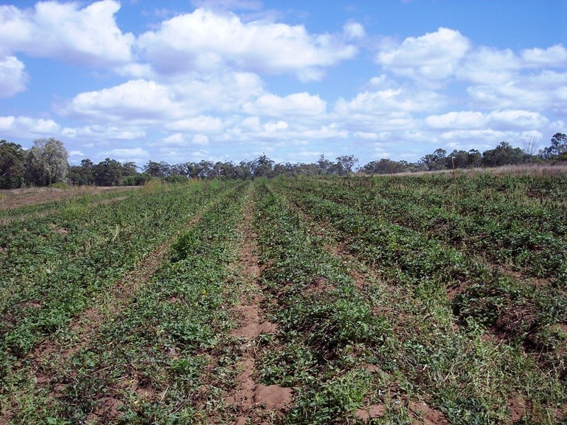 Winfield QLD 4670