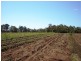 Winfield QLD 4670