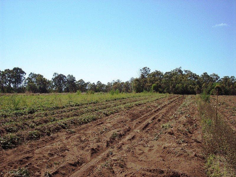 Winfield QLD 4670