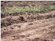 Winfield QLD 4670