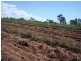Winfield QLD 4670