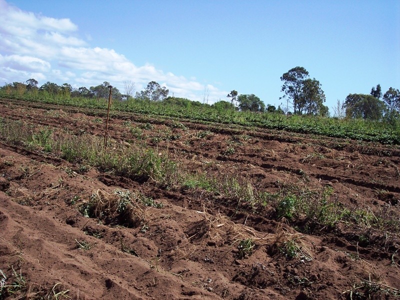Winfield QLD 4670