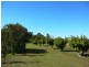 Avondale QLD 4670