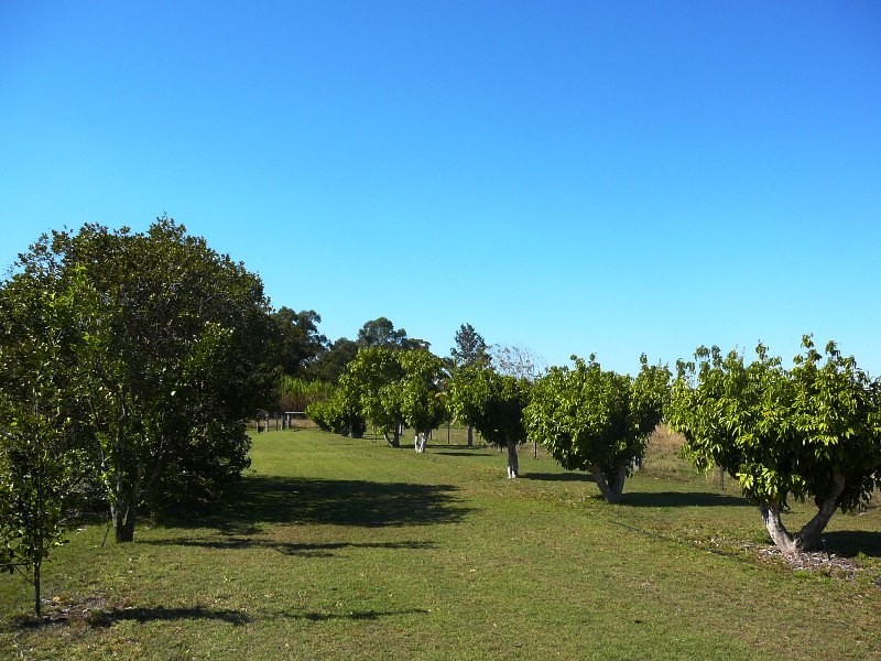 Avondale QLD 4670