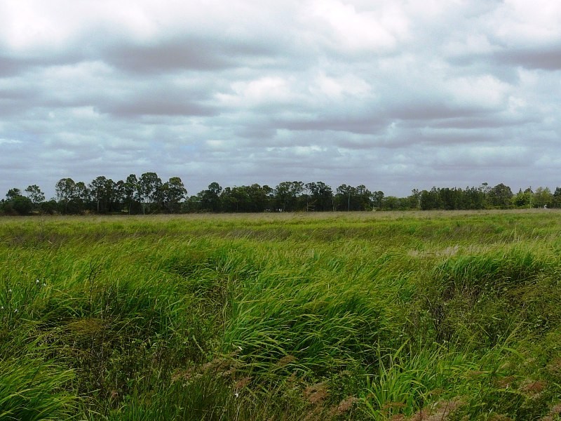 Welcome Creek QLD 4670