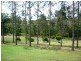 Apple Tree Creek QLD 4660