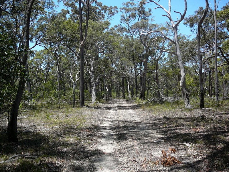 Baffle Creek QLD 4674