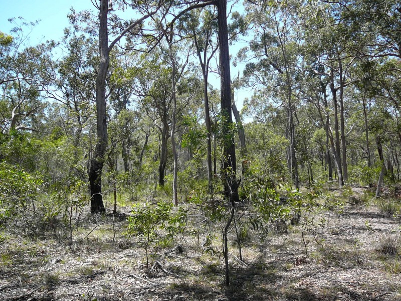 Baffle Creek QLD 4674