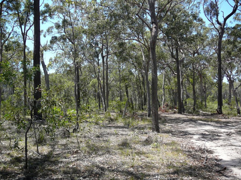 Baffle Creek QLD 4674