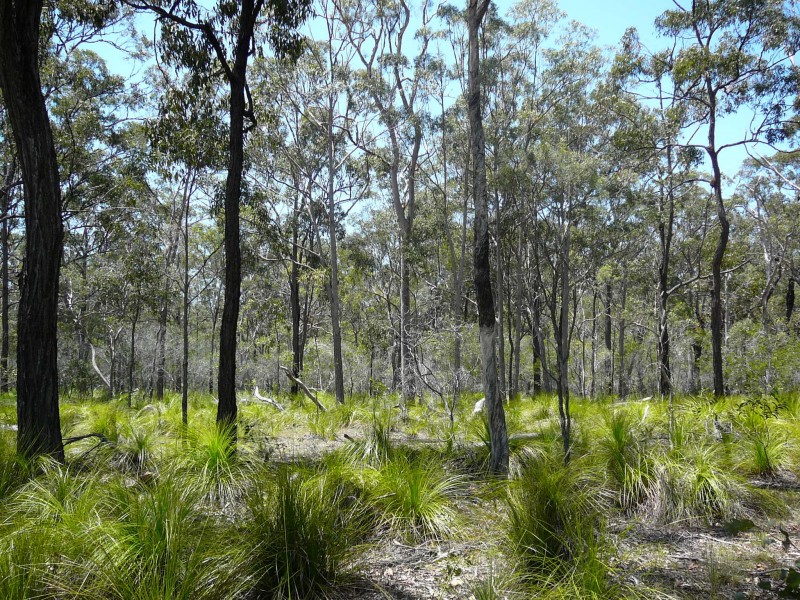 Baffle Creek QLD 4674