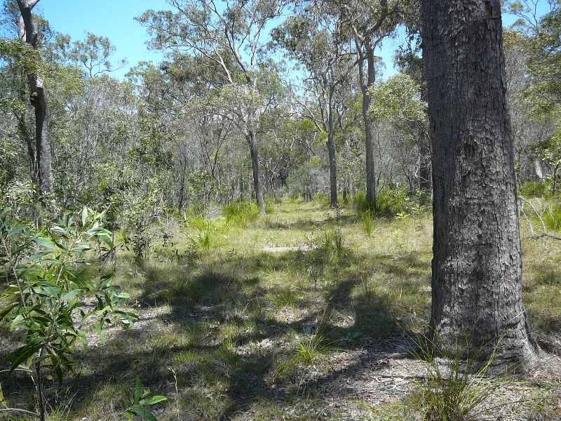 Baffle Creek QLD 4674