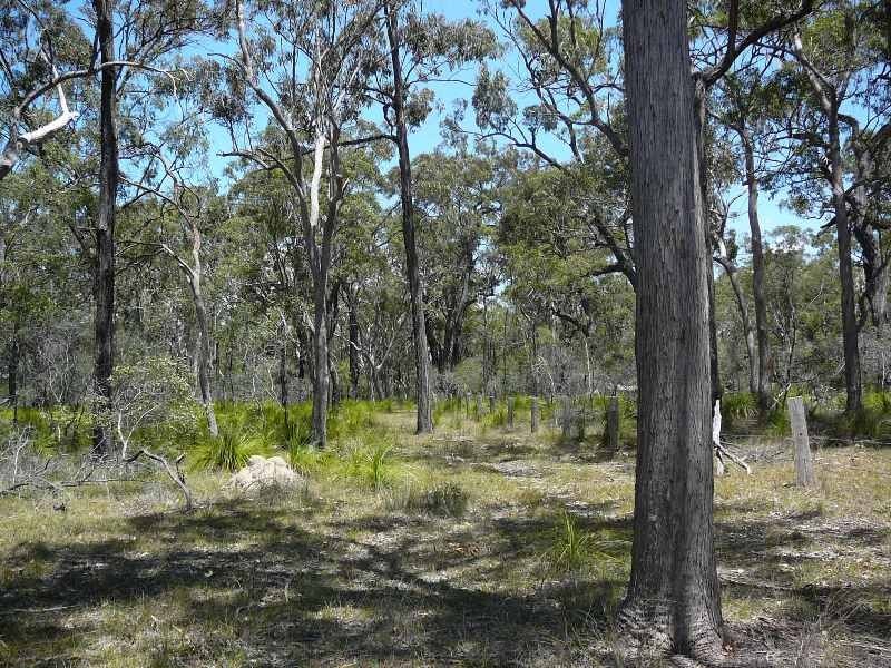 Baffle Creek QLD 4674