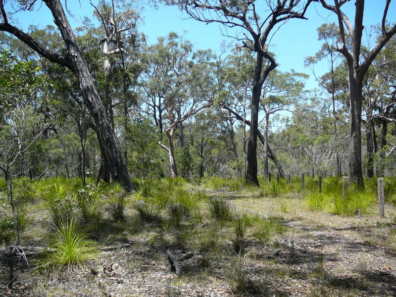 Baffle Creek QLD 4674