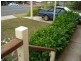 Apple Tree Creek QLD 4660