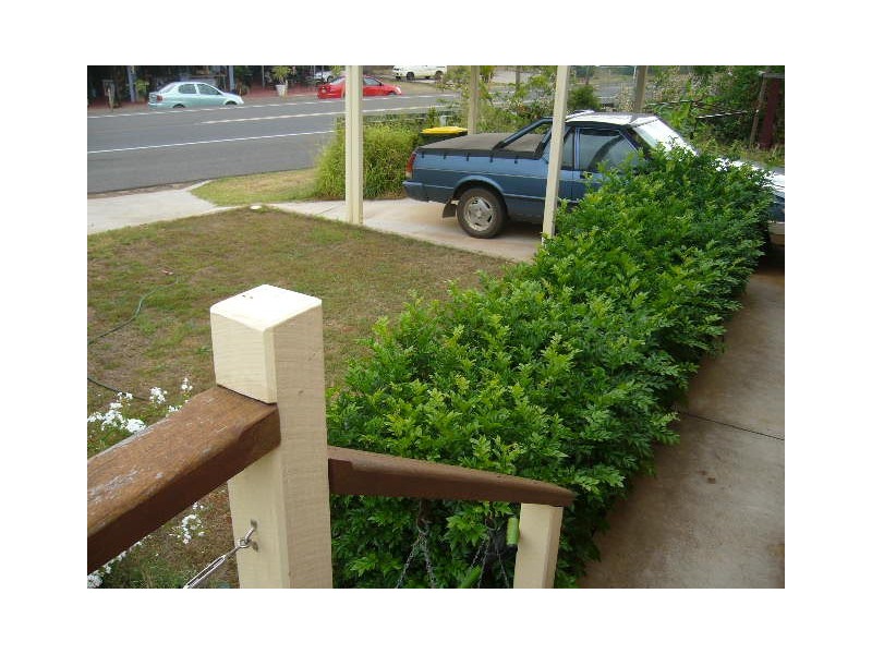 Apple Tree Creek QLD 4660