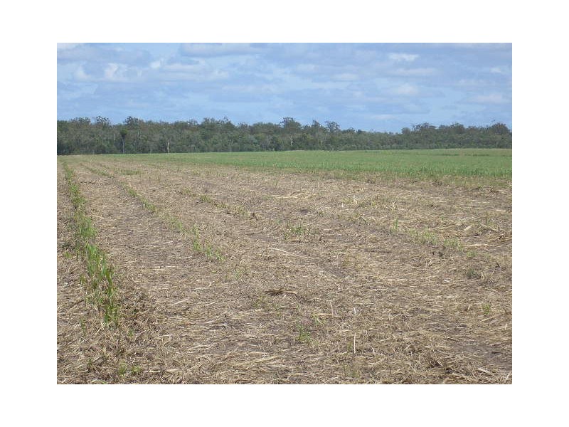 North Isis QLD 4660