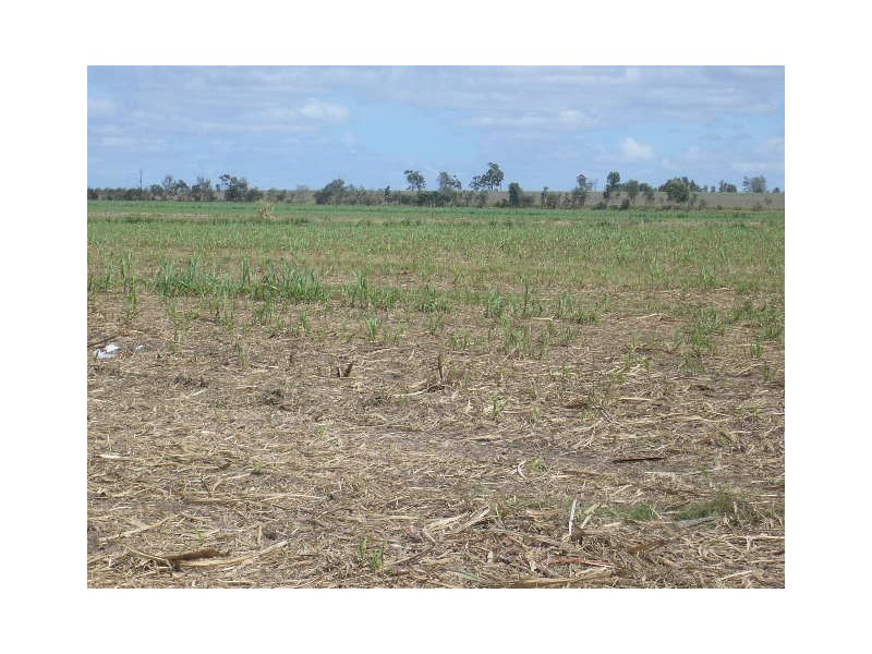 North Isis QLD 4660