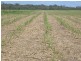 North Isis QLD 4660
