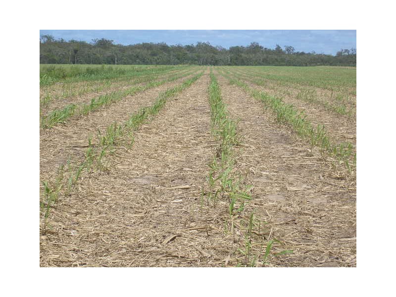 North Isis QLD 4660