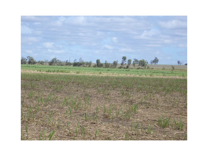 North Isis QLD 4660