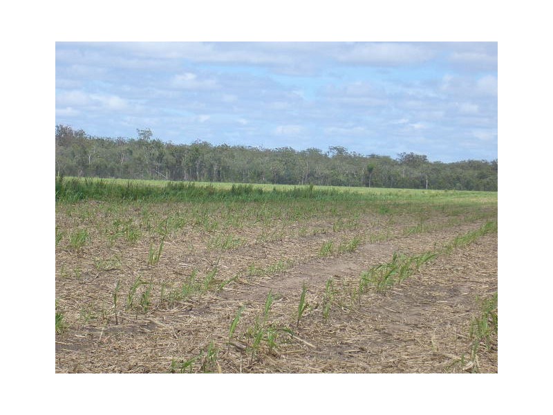 North Isis QLD 4660