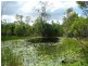 Watalgan QLD 4670