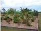 Buxton QLD 4660