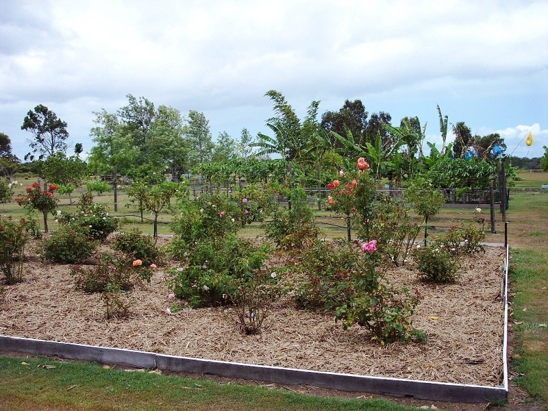 Buxton QLD 4660