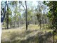 Mullett Creek QLD 4670
