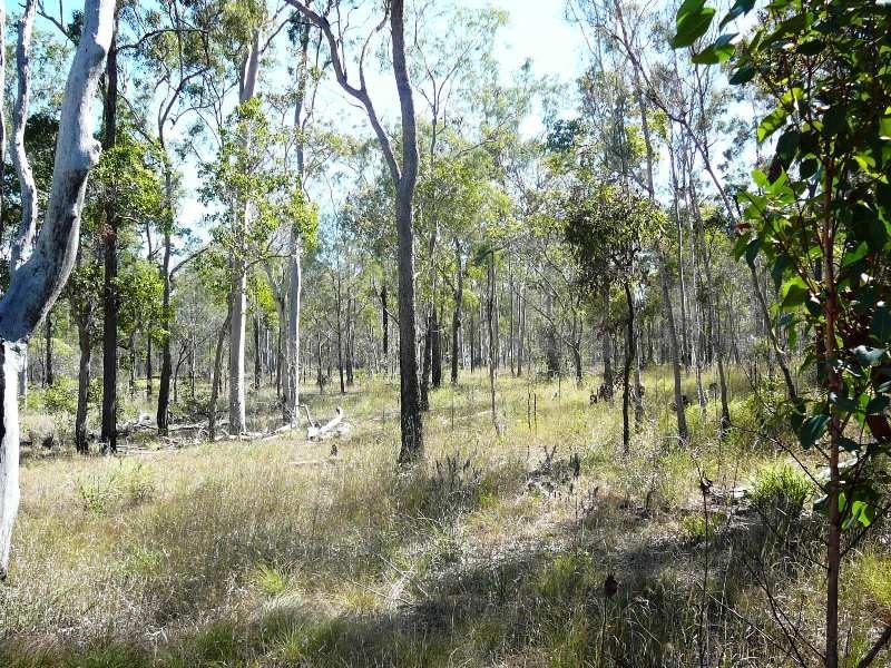 Mullett Creek QLD 4670