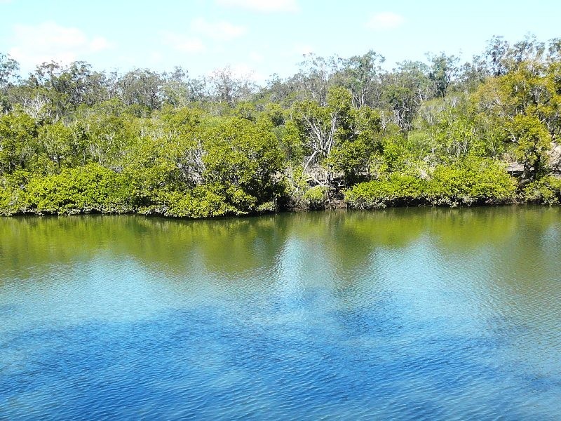 Mullett Creek QLD 4670