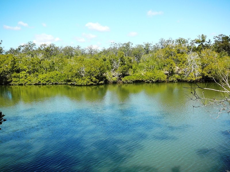 Mullett Creek QLD 4670