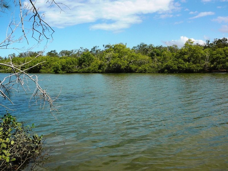 Mullett Creek QLD 4670