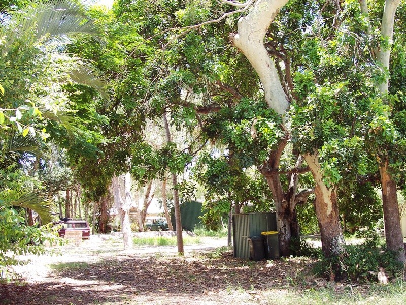 Moore Park Beach QLD 4670