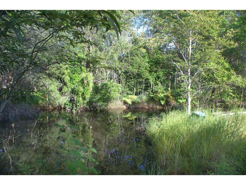 620 Louis Bazzo Dr, Pomona QLD 4568
