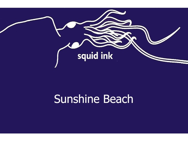 4/46 Duke St, Sunshine Beach QLD 4567