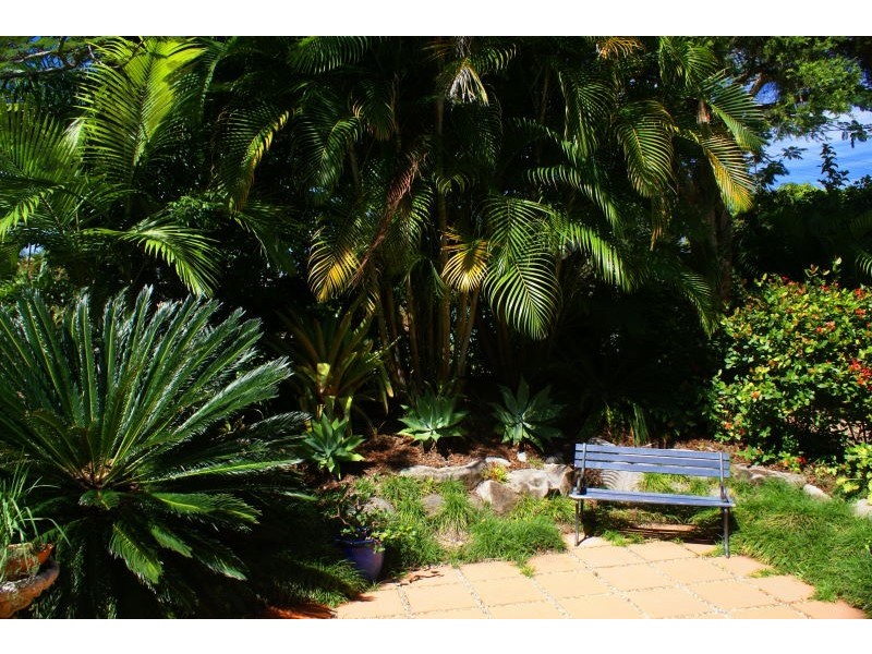 24 Foedera Cr, Tewantin QLD 4565