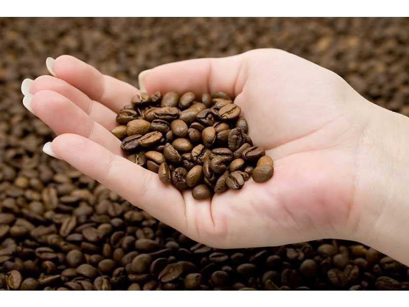 Coolum Beach QLD 4573