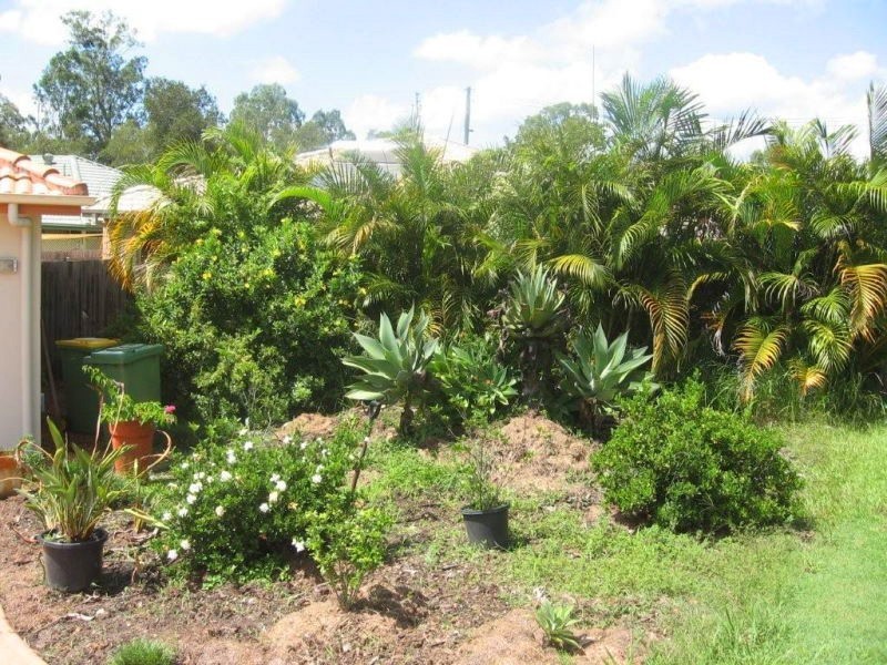 Cooroy QLD 4563